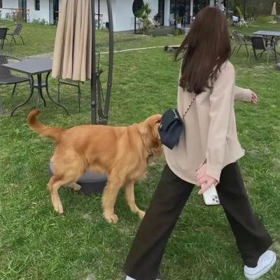 趴兔青春期